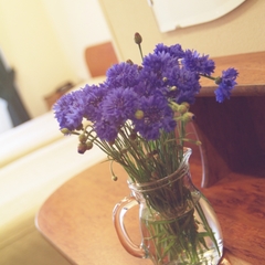 Гостиница Rinaldi Premier, Санкт-Петербург, Ленинградская область