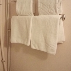 Гостиница Rinaldi Premier, Санкт-Петербург, Ленинградская область