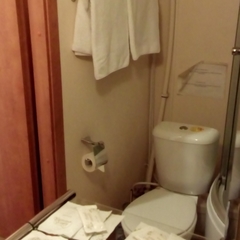 Гостиница Rinaldi Premier, Санкт-Петербург, Ленинградская область