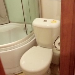 Гостиница Rinaldi Premier, Санкт-Петербург, Ленинградская область