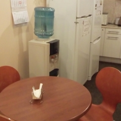 Гостиница Rinaldi Premier, Санкт-Петербург, Ленинградская область