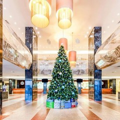 Гостиница Park Inn By Radisson Прибалтийская, Санкт-Петербург, Ленинградская область