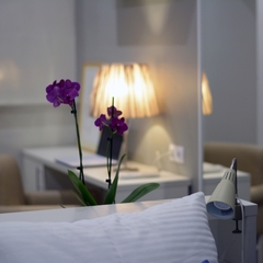 Гостиница Пять вечеров, Санкт-Петербург, Ленинградская область