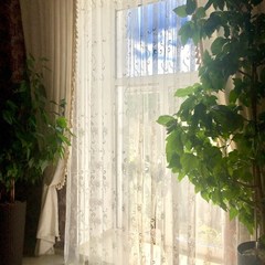 Отель Меншиков, Санкт-Петербург, Ленинградская область