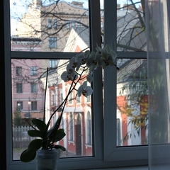 Апарт-отель Trezzini, Санкт-Петербург, Ленинградская область