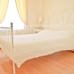 Мини-отель Пушкинская 10, Санкт-Петербург, Ленинградская область