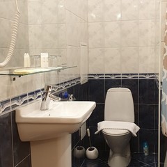 Мини-отель Пушкинская 10, Санкт-Петербург, Ленинградская область