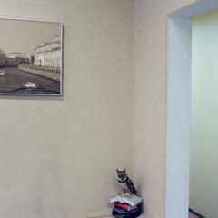 Гостиница 9 Сов, Санкт-Петербург, Ленинградская область