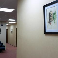 Гостиница 9 Сов, Санкт-Петербург, Ленинградская область