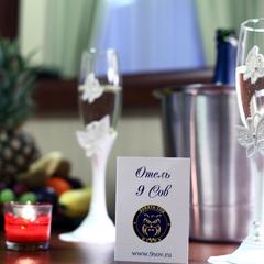 Гостиница 9 Сов, Санкт-Петербург, Ленинградская область