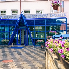 Отель Матисов Домик, Санкт-Петербург, Ленинградская область