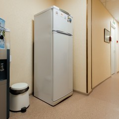 Гостиница Домашняя гостиница Подушка, Санкт-Петербург, Ленинградская область