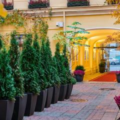 Отель Гельвеция, Санкт-Петербург, Ленинградская область