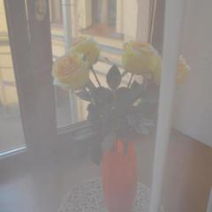 Мини-гостиница Делюкс, Санкт-Петербург, Ленинградская область