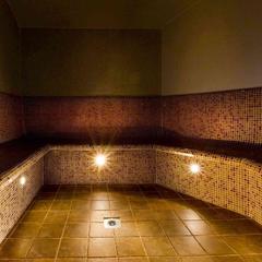 Отель Novotel Санкт-Петербург Центр, Санкт-Петербург, Ленинградская область