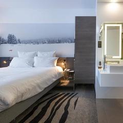 Отель Novotel Санкт-Петербург Центр, Санкт-Петербург, Ленинградская область