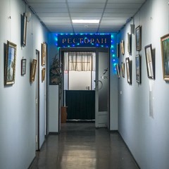 Гостиница Аннушка, Санкт-Петербург, Ленинградская область