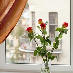 Отель Антураж, Санкт-Петербург, Ленинградская область