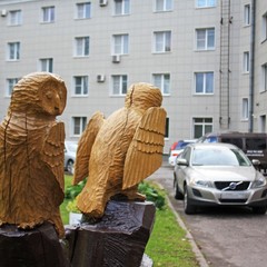 Гостиница Аннушка, Санкт-Петербург, Ленинградская область