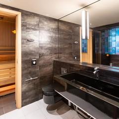 Отель Рэдиссон Соня, Санкт-Петербург, Ленинградская область