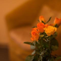 Отель Невский Инн, Санкт-Петербург, Ленинградская область