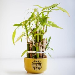 Отель Антураж, Санкт-Петербург, Ленинградская область