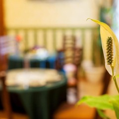 Отель Антураж, Санкт-Петербург, Ленинградская область