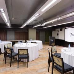 Отель Рэдиссон Соня, Санкт-Петербург, Ленинградская область