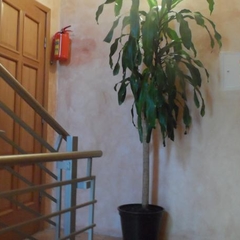 Апарт-отель Никита, Санкт-Петербург, Ленинградская область