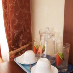 Отель Инжэкон, Санкт-Петербург, Ленинградская область