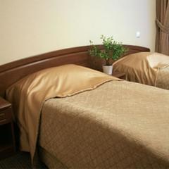 Мини-отель Чехов, Санкт-Петербург, Ленинградская область