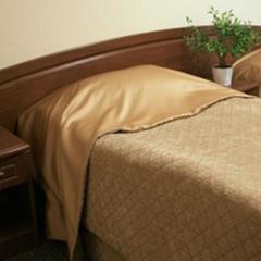 Мини-отель Чехов, Санкт-Петербург, Ленинградская область