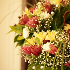 Клуб-отель Агни, Санкт-Петербург, Ленинградская область