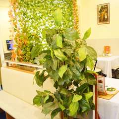 Отель Валерия, Санкт-Петербург, Ленинградская область