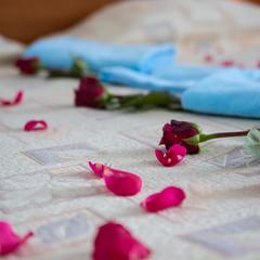 Гостевой дом Парк Лэйн Инн, Санкт-Петербург, Ленинградская область