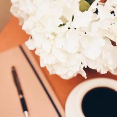 Гостевой дом Репин, Санкт-Петербург, Ленинградская область