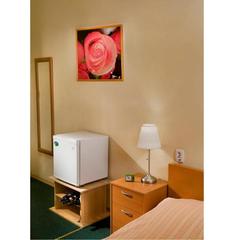 Гостевой дом Репин, Санкт-Петербург, Ленинградская область