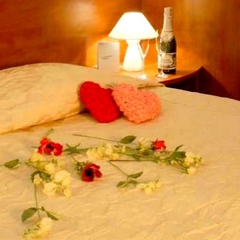 Мини-отель Сюзор, Санкт-Петербург, Ленинградская область