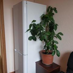 Мини-гостиница Глобус, Санкт-Петербург, Ленинградская область