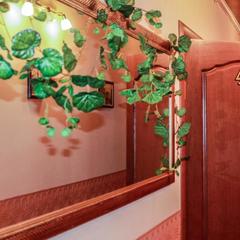 Мини-отель Эстера, Санкт-Петербург, Ленинградская область