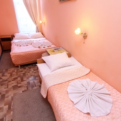 Отель Геральда на Пушкинской, Санкт-Петербург, Ленинградская область