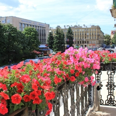 Гостиница Mary Hotel, Санкт-Петербург, Ленинградская область