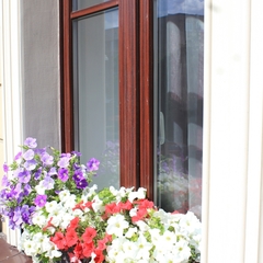 Гостиница Mary Hotel, Санкт-Петербург, Ленинградская область