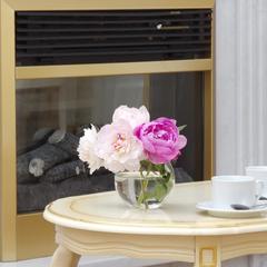 Отель Аристократ Бутик Отель, Санкт-Петербург, Ленинградская область