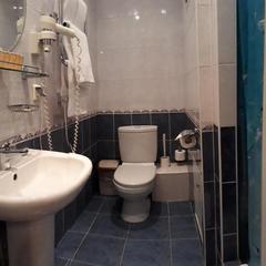 Отель Вероника, Санкт-Петербург, Ленинградская область