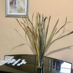 Отель Исаакиевский, Санкт-Петербург, Ленинградская область