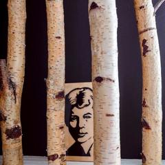 Хостел Тайга Хостел, Санкт-Петербург, Ленинградская область