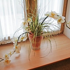 Парк-отель Гермес, Санкт-Петербург, Ленинградская область