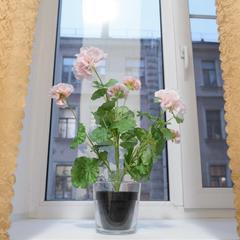 Отель SuperHostel на Восстания, Санкт-Петербург, Ленинградская область