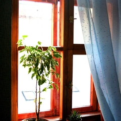 Хостел Кот Матроскинн на Орловском, Санкт-Петербург, Ленинградская область